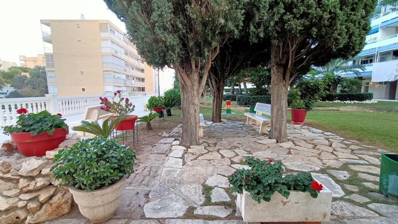 Holidays At My Spanish Grandma Alicante Extérieur photo